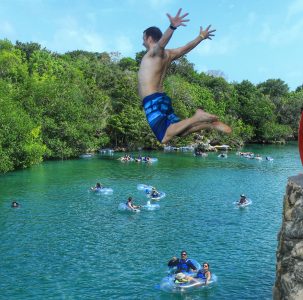 Dave’s Discoveries